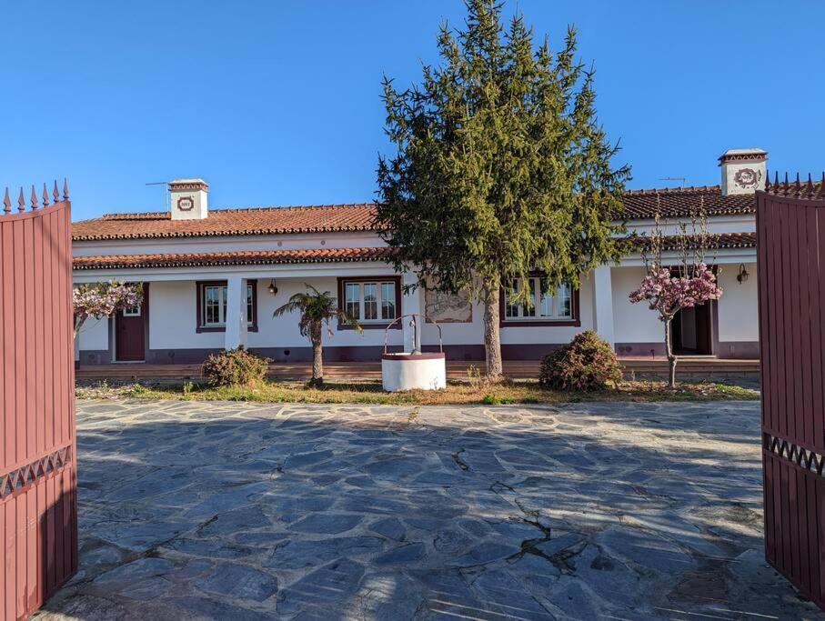 Quinta Kaleidoscope